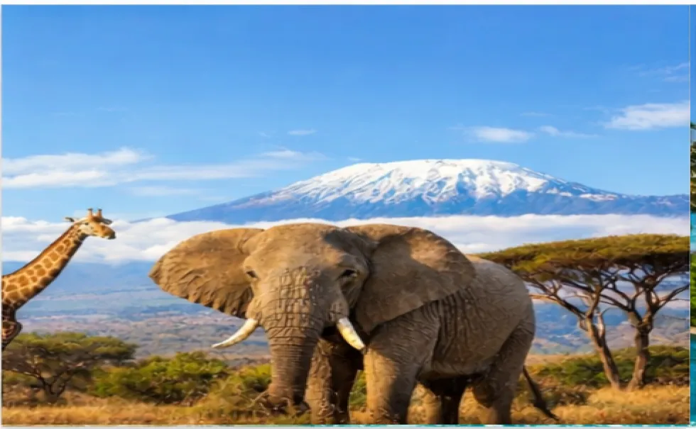 Why Kenya Is One of the Best Travel Destinations in Africa